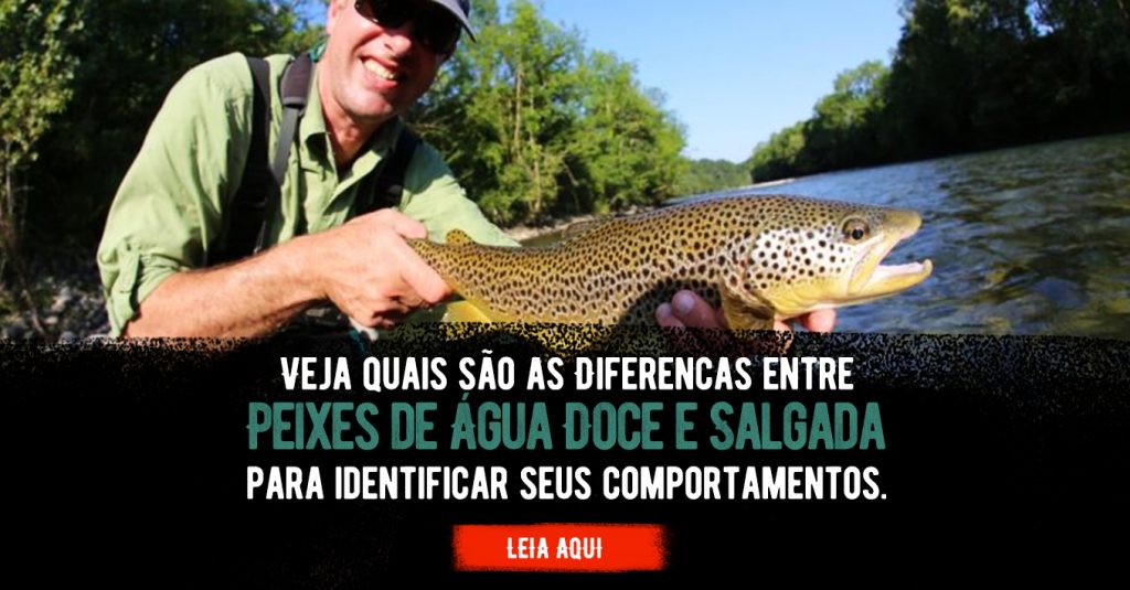 conheça a diferença entre peixes de água doce e peixes de água salgada